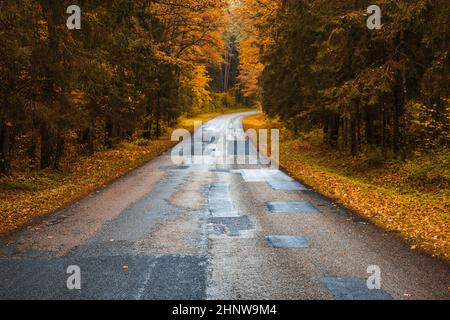 apparentemente infinita strada di campagna curva con alberi in autunno. Foto Stock