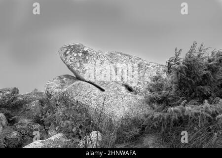 Rocce panoramiche come un leone dormiente o gigante dormiente alla cima della montagna di tne petit ballon nella regione di Alscae, Francia Foto Stock