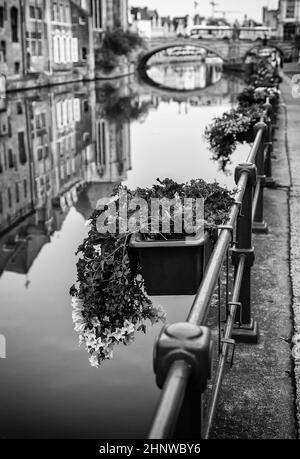 Vecchio canale della città di Gand, dettaglio del turismo, Europa Foto Stock