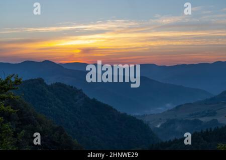 Passo della Braccina, Parco Nazionale foreste Casentinesi, Monte Falterona, Campigna (Parco Nazionale delle foreste Casentinesi, Monte Falterona e campi Foto Stock