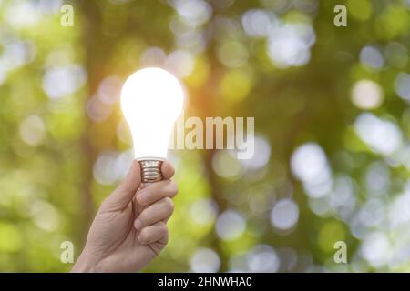 Lampada a tenuta di mano su sfondo verde naturale. Concetto ecologico. Foto Stock