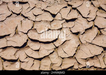 grandi crepe di fango e piastrelle di fango secco nel deserto della valle della morte Foto Stock