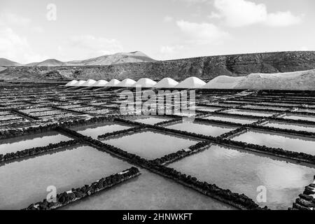 Raffineria di sale, soluzione salina da Janubio, Lanzarote, Spagna Foto Stock