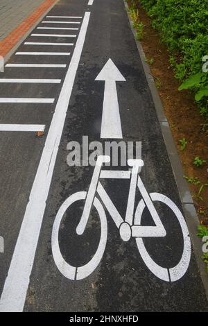 Sezione stradale con segnaletica stradale che regola il movimento dei ciclisti. Cartelli per biciclette sulla strada. Strada in bicicletta con freccia. Bicicletta e moderno ecologico Foto Stock