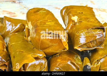 Foglie di vite ripieni di riso. Tradizionale Greco, Turco, libanese e piatti della cucina mediterranea. Close-up. Un sano concetto. Foto Stock