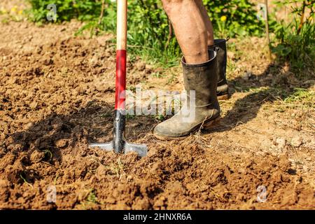 Dettagli sul piede senior in presenza di sporco wellington boot e forcella sul terreno bagnato. La molla del giardinaggio. Foto Stock