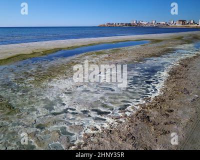 Riva paludosa del Mar Caspio. Il mare era sporco e puzzolente. Kazakistan. Regione di Mangistau. Aktau città. 18 novembre 2019 anno. Foto Stock