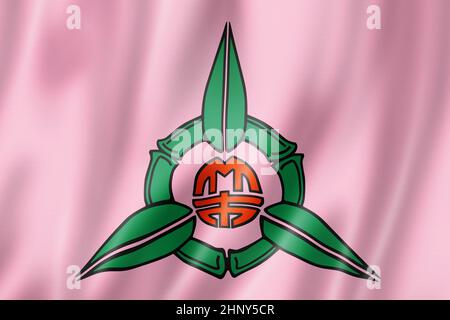 Bandiera della città di Hsinchu, collezione di striscioni in Cina. Illustrazione 3D Foto Stock