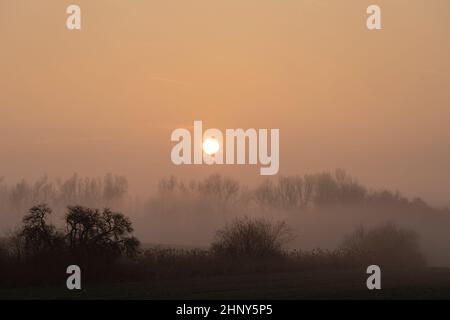 Sunrise vicino a Znojmo, Moravia del Sud, Repubblica Ceca Foto Stock