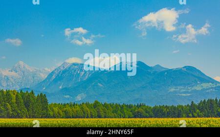 Meraviglioso paesaggio montano e forestale con cielo blu nuvoloso in Slovenia. Foto Stock