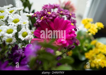 Un bouquet colorato di fiori recisi presso la finestra. Foto Stock