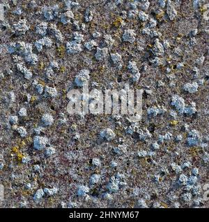 Foto realistica texture perfetta di una parete in cemento con dettagli alti Foto Stock