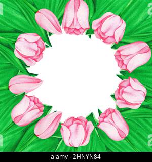 Cornice di tulipani rosa. Acquerello vintage illustrazione. Isolato su sfondo bianco. Per il tuo design. Foto Stock