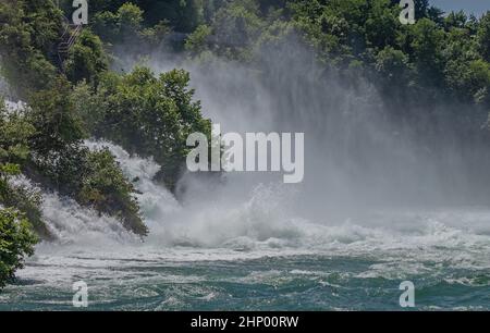 Rheinfall bei Neuhausen, Kanton Schaffhausen, Schweiz Foto Stock