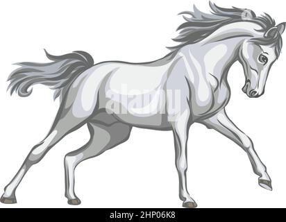 Cavallo, immagine di un cavallo galoppante, ritratto di un cavallo per un logo in tonalità di grigio Illustrazione Vettoriale