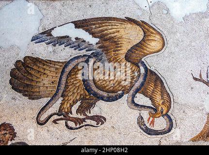 Antica aquila e Mosaico serpente dal periodo bizantino (periodo romano orientale) al Grande Palazzo di Costantinopoli. 4th-6th secolo. Foto Stock