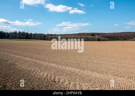 Grandi campi di colore marrone del terreno fertile e verde bosco in background Foto Stock