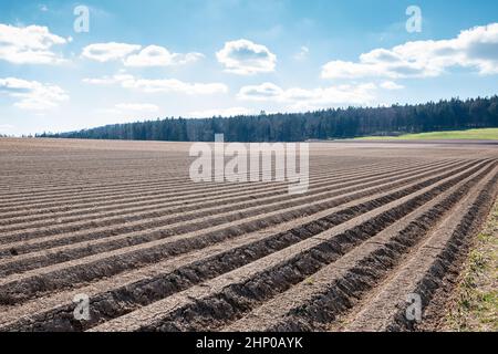 Grandi campi di colore marrone del terreno fertile e verde bosco in background Foto Stock