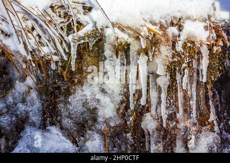 Ghiaccioli congelati scongelati su un fiume in paesaggio forestale a Brocken montagna in Harz Wernigerode Sassonia-Anhalt Germania Foto Stock