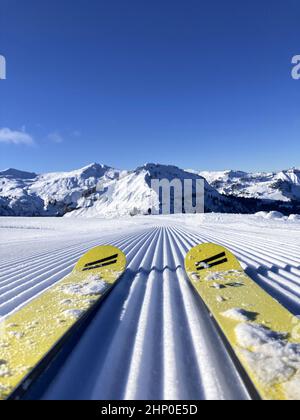 Haute-Savoie (74) comprensorio sciistico Megeve. In primo piano, i nuovi skis DINAMICI (produzione artigianale) del leggendario marchio di sci, recentemente rilanciati da Foto Stock