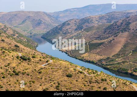 Fiume Douro vicino alla foce del fiume COA. Comune di Vila Nova de Foz COA. Regione del Douro. Foto Stock