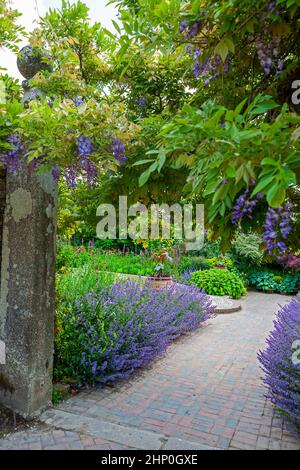 Entrando nel Sundial Garden attraverso colonne di pietra festooned con glicine: Lost Gardens of Heligan, Cornovaglia, Regno Unito Foto Stock