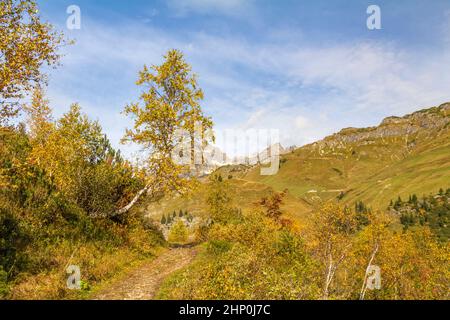 Paesaggio idilliaco intorno a Warth, un comune del distretto di Bregenz, nello stato federato del Vorarlberg Foto Stock