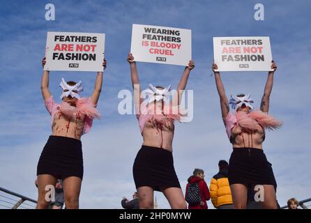 Londra, Regno Unito. 17th febbraio 2022. Gli attivisti DI PETA che indossano maschere per uccelli e con gilet 'sanguinose e scottate' esposte hanno organizzato una 'passerella' sul Millennium Bridge per protestare contro l'uso di piume di uccello in abiti e accessori alla London Fashion Week. Foto Stock