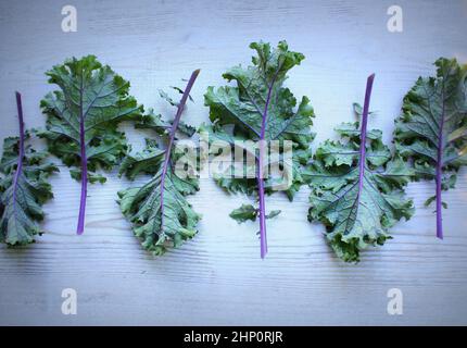 Rosso di foglie di cavolo o russo kale su sfondo di legno. Foto Stock