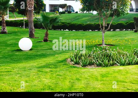 Bellissimo paesaggio sul territorio dell'hotel utilizzando un prato verde, sentieri e varie piante. Settore del design del paesaggio. esterno professionale pla Foto Stock