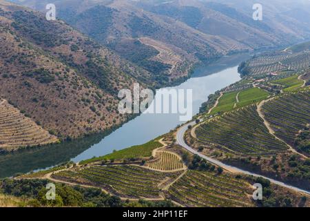 Fiume Douro vicino alla foce del fiume COA. Comune di Vila Nova de Foz COA. Regione del Douro. Foto Stock