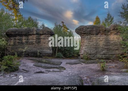 Funghi di pietra in una riserva naturale Broumovske steny, Boemia orientale, Repubblica Ceca Foto Stock