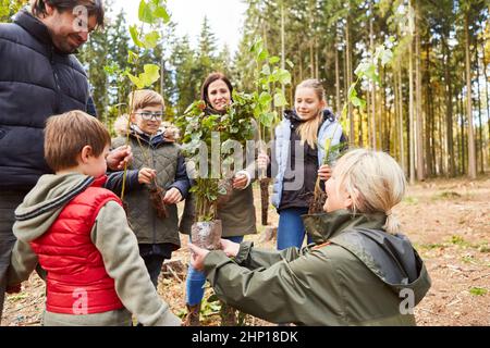 Famiglia con i bambini e forester che seleziona un albero per il rimboschimento sostenibile Foto Stock