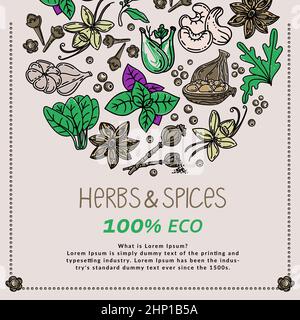 Erbe e spezie, illustrazioni vettoriali disegnate a mano. Disegno di cibo a mano. Piante aromatiche. Design del packaging. Stile di schizzo. Design della silhouette di Illustrazione Vettoriale