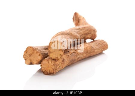 Vite di ayahuasca. Legno di Banisteriopsis caapi isolato su sfondo bianco. Medicina delle piante sciamaniche. Terapia alternativa. Entheogen. Foto Stock