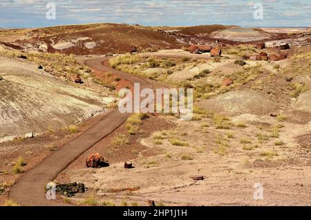 Percorso attraverso il paesaggio panoramico dell'antica foresta pietrificata in Arizona Foto Stock