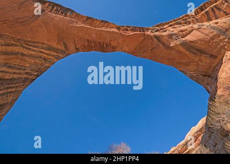 Guarda un ponte naturale al Sipapu Bridge nel Natural Bridges National Monument nello Utah Foto Stock