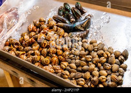 Pesce vongole ostriche thailandese notte mercato cibo di strada a Huai Khwang, Bangkok, Thailandia. Foto Stock