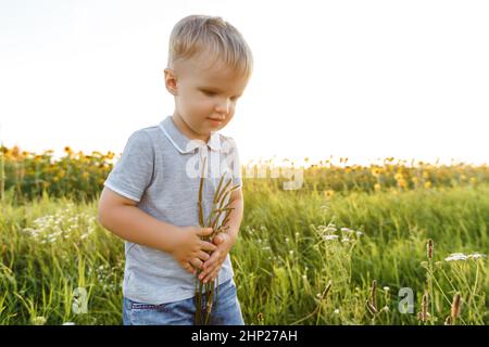 Ragazzino che gioca sullo sfondo della campagna e sorride. Tre anni di divertimento in campo di girasoli al tramonto. Stile di vita estivo all'aperto Foto Stock