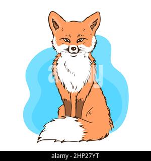 Illustrazione di una volpe rossa seduta. Coda soffice. Animale della foresta. Illustrazione grafica vettoriale isolata disegnata a mano Illustrazione Vettoriale