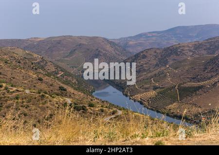 Fiume Douro vicino alla foce del fiume COA. Comune di Vila Nova de Foz COA. Regione del Douro. Foto Stock