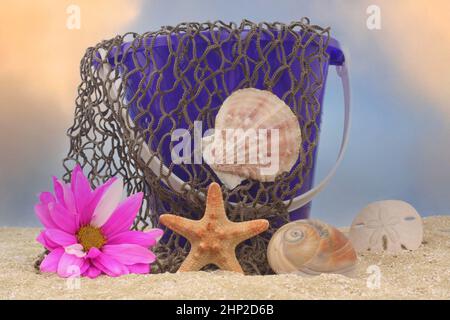 Secchio di sabbia con rete e conchiglie di mare su sabbia con cielo Foto Stock