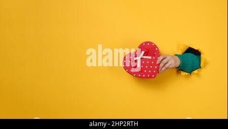 la mano femmina tiene una scatola rossa con un regalo su uno sfondo giallo, parte del corpo sporge da un buco strappato in uno sfondo di carta. Congratulazioni, holi Foto Stock