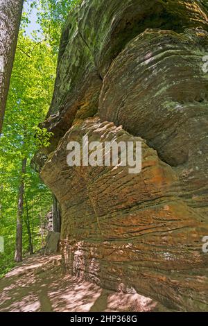 Sentiero escursionistico lungo le suggestive creste boschive nel Cuyahoga Valley National Park in Ohio Foto Stock