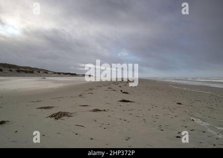 Spiaggia a Langeoog con cielo impressiv Foto Stock