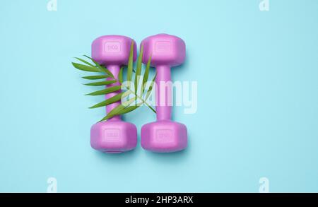 due manubri viola di plastica da chilogrammo su sfondo blu, vista dall'alto. Attrezzature sportive Foto Stock