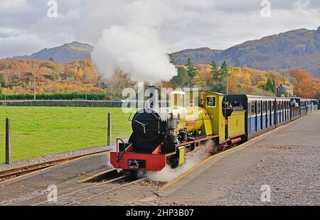 Ravenglass e Eskdale Railway Locomotiva Northern Rock lasciando Dalegarth Station con un treno per Ravenglass Foto Stock