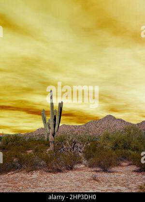 Montagna nel deserto di sonora nel centro Arizona Stati Uniti Foto Stock