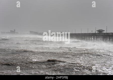 Southend on Sea, Essex, Regno Unito. 18th Feb 2022. Storm Eunice ha colpito la città estuario del Tamigi causando danni e attirando la gente verso il lungomare. Un alto albero è sceso in Valkyrie Road a Westcliff on Sea, bloccando il traffico Foto Stock