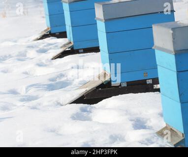 Inverno paese di scena con alveari coperti di neve Foto Stock
